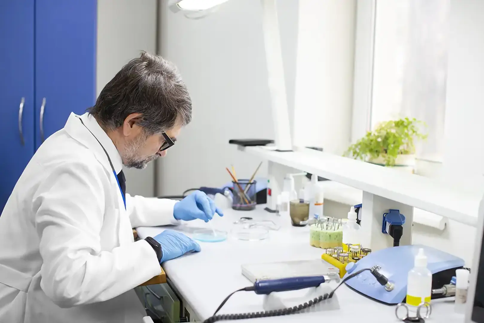 Laboratorio